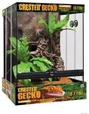 Terrarios Reptiles Exo Terra Kit Terrario Geckocrestado L 45X45X60Cm - EXO TERRA