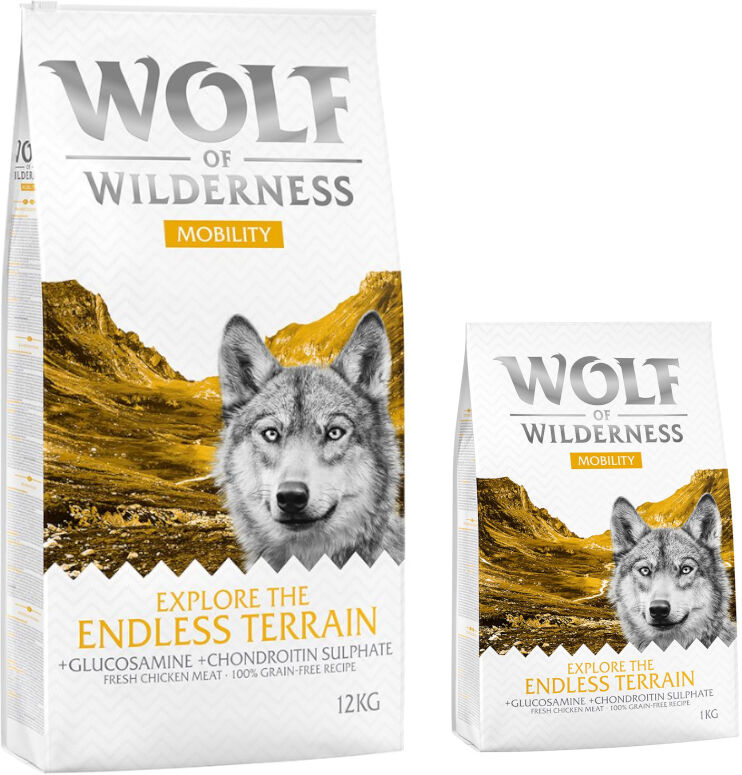 Wolf of Wilderness 14kg Explore The Endless Terrain Mobility  pienso para perros