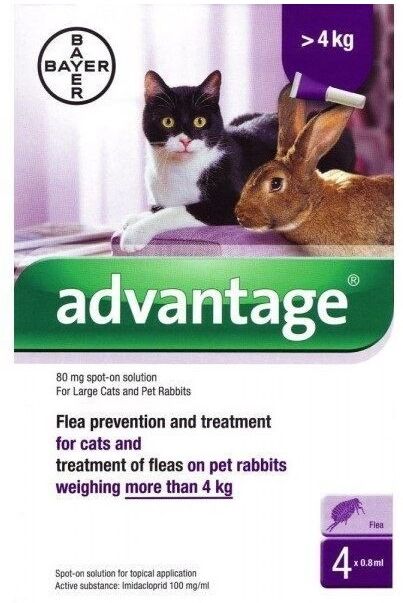 Esteve Advantage 80 Gatos  4 Pipetas (+ 4 Kg)