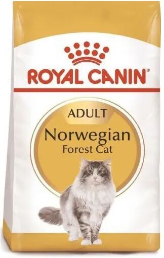 Royal Canin Gato Norwegian Forest 2 Kg