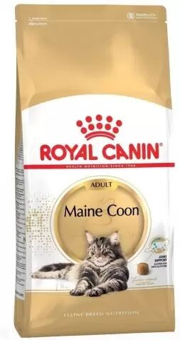 Royal Canin Gato Maine Coon 4 Kg