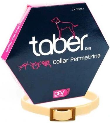 DIVASA Collar Taberdog 60 Cm Classic