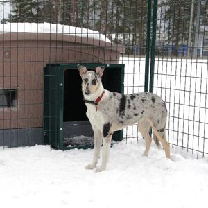 koiratarvikkeet Jämpti-tunneli koirankoppiin / Tummanharmaa