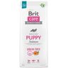 Brit Care Dog Grain-free Puppy, Salmon, 12 kg