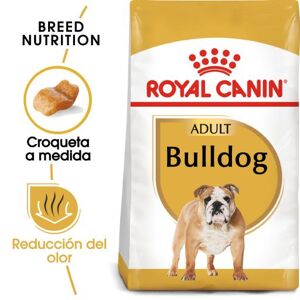 Royal Canin Bouledogue Adult 12 Kg - Publicité