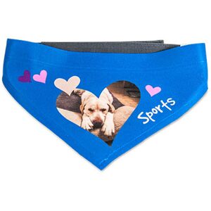 Ocadeau Bandana chien photo