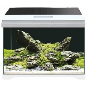 Modern tank 40 réservoir en verre extra-clair avec éclairage LED et filtre interne