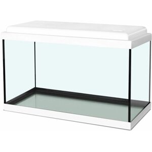 Zolux - Aquarium kidz - 18L - l40xp20xh25 cm - blanc - Publicité