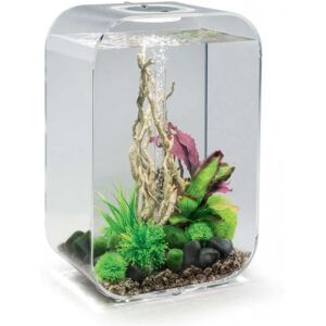 Oase - Aquarium 45l contours transparent Life45MCR transparent - verre transparent - Publicité