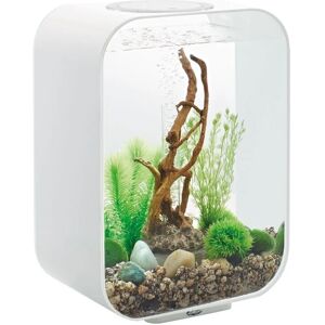 Oase - Aquarium 15l led contours blanc Life 15 led white - blanc - Publicité