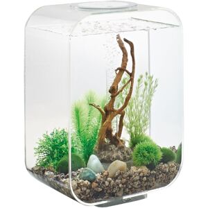 Oase - Aquarium 15l led transparent Life 15 led transparent - verre transparent - Publicité