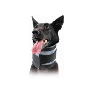 - Collier cervical pour chiens Noir (13-48 cm)