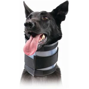 - Collier cervical pour chiens Noir (18-53 cm)