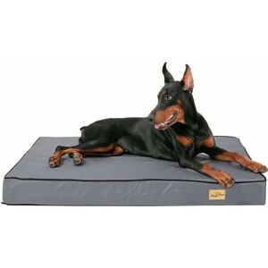 BINGOPAW Coussin Grand Chien Déhoussable: Panier pour Chien Orthopédique Grande Taille Tapis pour Chiens Lavable Matelas Imperméable en Mousse - XXL - Publicité