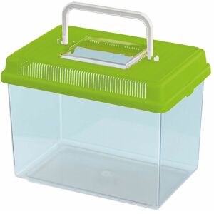 Ferplast - geo Conteneur pour petits animaux, poissons, tortues et insectes. Variante medium - Mesures: 23.2 x 15.3 x h 16.6 cm - 2.5 l - Vert acide - Publicité