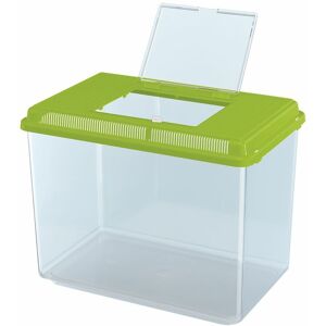 Ferplast GEO Conteneur pour petits animaux, poissons, tortues et insectes. Variante MAXI - Mesures: 41.3 x 26 x h 29.8 cm - 21 L - Vert acide - Vert acide - Publicité