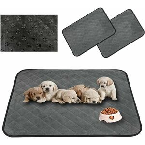 Tapis à Pipi pour Chien/Chat/Lapin, Tapis Éducateur Chiot, Tapis de Dressage Animal, Lavable, Réutilisable, Absorbant, 60 45CM, Gris, 2 Pcs - Publicité