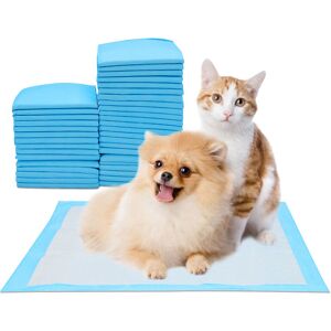 80X Tapis pour chiots extrêmement absorbant Tapis de dressage Coussin pour chiens 60x60CM - Tolletour - Publicité