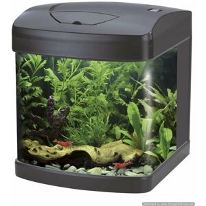 Xcube 26 Led curved front glass aquarium complet avec éclairage led et filtre