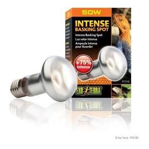 Intense Basking Spot Ampoule 50 W