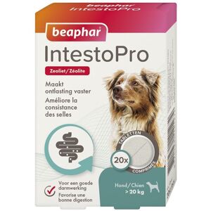 Beaphar ¿ Intestopro ¿ Comprimés Pour Améliorer La Consistance Des Selles ¿ Favorise La Digestion ¿ Ingrédient Actif D'origine Naturelle - Pour Chiens (20 Kg) - 20 Comprimés - Publicité