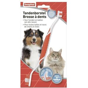 Beaphar -Brosse À Dents Pour Toutes Tailles Et Races De Chiens - Publicité