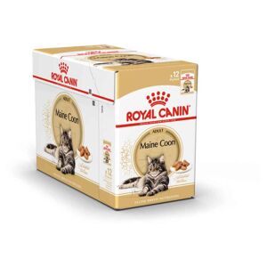 Sachets Maine Coon En Mousse Pour Chat - Royal Canin - 12x85g - Publicité