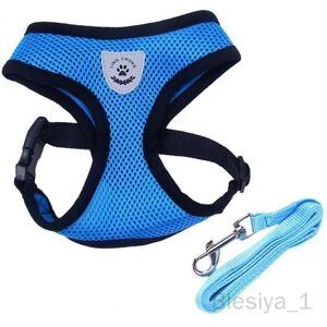 4xmesh Tissu Chien Gilet Harnais Chiot Laisse Collier De Dressage - Publicité