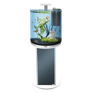 Tetra Aquaart Meuble Pour Aquarium, Spécialement Conçu Pour Tetra Aquaart Explorer Line Aquarium Avec Vitre Avant Bombé, 30/60l - Publicité
