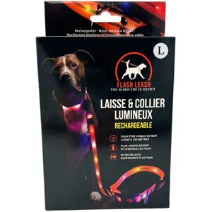 Laisse Et Collier Lumineux Pour Chien Venteo Led Rechargeable Usb Longue Autonomie Résistant À L'eau 3 Modes D'éclairage Réglable Pour Petits/Moyens/Gros Chiens Orange