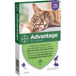 Bayer Solution Advantage 80 Chat Et Lapin 6 Pip. Publicité