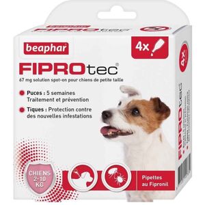 Beaphar - Pipettes Antiparasitaires Fiprotec Pour Petit Chien - X4 - Publicité