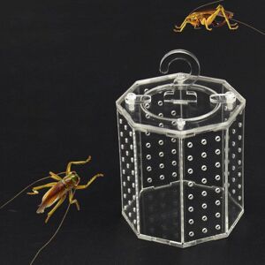 Cage Vivarium en acrylique transparente pour Terrarium, réservoir de reptiles, insectes araignées - Publicité