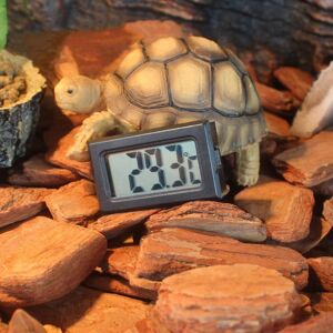 Thermomètre Digital Sans Fil Pour Reptile Vivarium Chien Chat Animaux De Domestique - Publicité