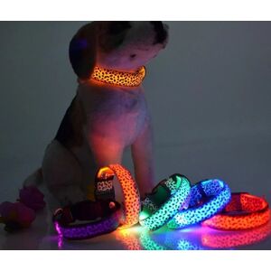 Collier Lumineux Led Léopard Pour Chien, Réglable Et Lumineux, En Nylon, Sécurité Nocturne, Pour Animaux De Compagnie - Publicité