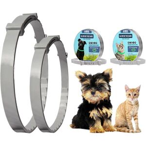 Collier Pour Animaux De Compagnie, Design Brillant, Rétractable, Ajustable, Protection Pour Chiot, Répulsif D'extérieur, Anti-Puces, Accessoires Pour Chiens Et Chats - Publicité