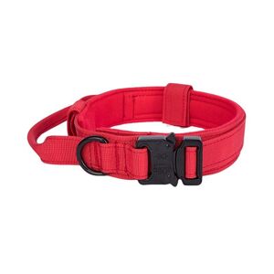 Ensemble De Laisse Pour Chien, Collier Ajustable Et Durable, Accessoire De Dressage Pour Moyen Et Grand Gabarit Allemand - Publicité