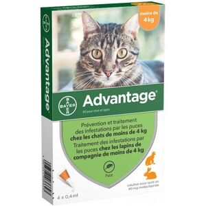 Bayer Solution Advantage 40 Chat Et Lapin 4 Pip. Publicité