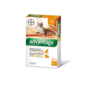 Bayer Advantage 40 Chat/Lapin 0-4 Kg 6 Pipettes Antiparasitaires - Publicité