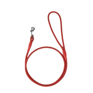 Laisse De Chien Laisse De Dressage De Chien Corde De Plomb Corde De Chien Tressée Pour Chiens Marche Formation Randonnée Joggingrouge4 Pieds * 4 Mm - Publicité