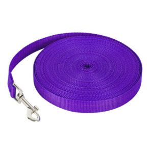 Laisse De Dressage En Nylon Pour Chiens De Petite, Moyenne Et Grande Taille, Laisse Longue Pour Chien/Chiot-Violet-30 Pieds - Publicité