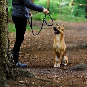 Laisse Retriever Laisse Pour Chien Laisse De Dressage Laisse De Traction Différentes Couleurs Et Longueurs Disponibles 170 Cm Noir - Publicité