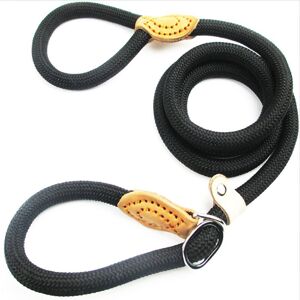 1.5 M Laisse De Chien En Nylon, Noir Corde Laisse Chien, Laisse Chien Corde, Laisse Dressage Chien, Laisse Coulissante, Laisse Lasso Pour Chien, Collier Laisse Chien Pour Petits Et Moyens Chiens -Adél - Publicité