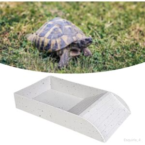 Tortue Reptile Piscine Extra Large Décorations Assiette D'alimentation Blanc - Publicité