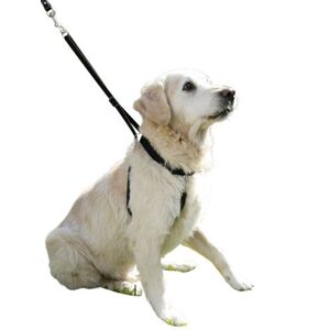 Kerbl Harnais Dressage Maxi Leader Gentle Dog Noir Taille 3 - Publicité