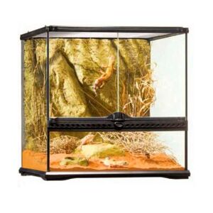 Thermomètre et hygromètre pour Reptile, moniteur de température et  d'humidité pour Vivarium Terrarium, nouveau