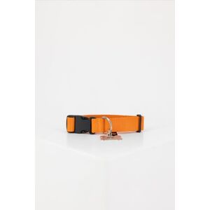 Basic Dog-Tag Collar Alpha Orange - Publicité