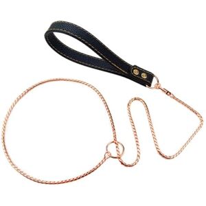 FERDUS tour de cou Laisse de chien en acier inoxydable 304, sans traction, laisse de dressage en métal robuste, collier étrangleur for animaux de compagnie, for petits, moyens et grands chiens Accessoires po - Publicité