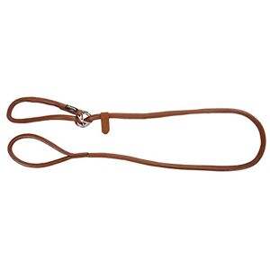 Kerbl Roma Laisse avec Collier Intégré pour Chien Cognac 170 cm 8 mm - Publicité