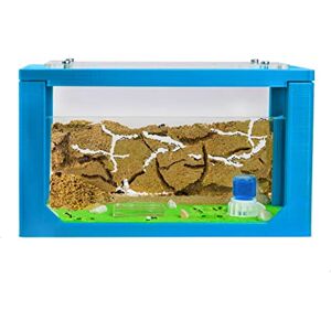 AntHouse Fourmilière Naturelle en Sable   Kit Commencement 3D 20x10x10 cm Bleu   Fourmis Incluses - Publicité